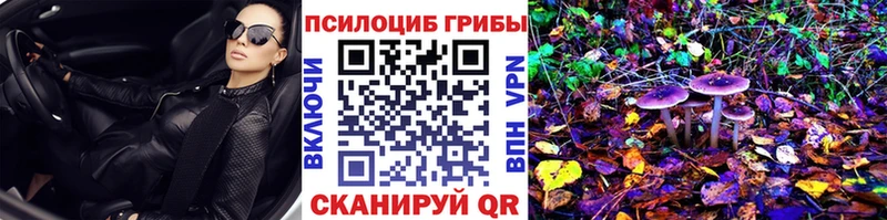 магазин продажи наркотиков  Райчихинск  Псилоцибиновые грибы мицелий 
